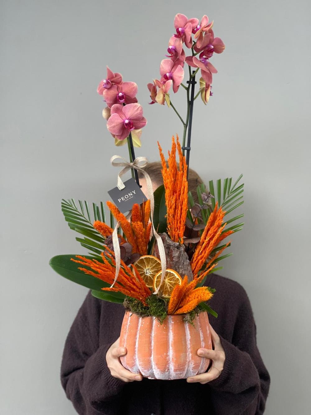 Kabak Saksıda Turuncu Orkide